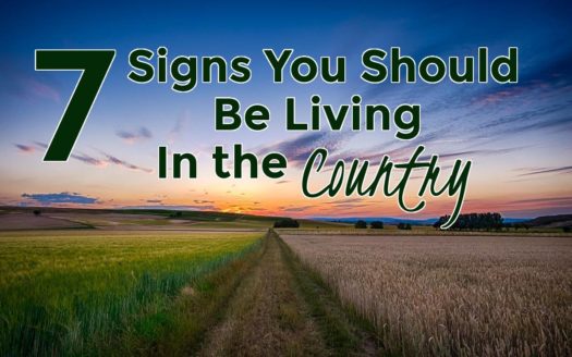 7 signs you should be living in the country